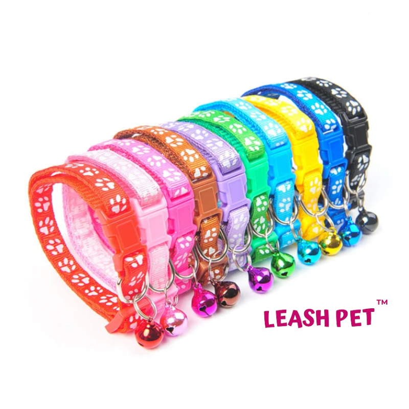 Coleira Leash Pet
