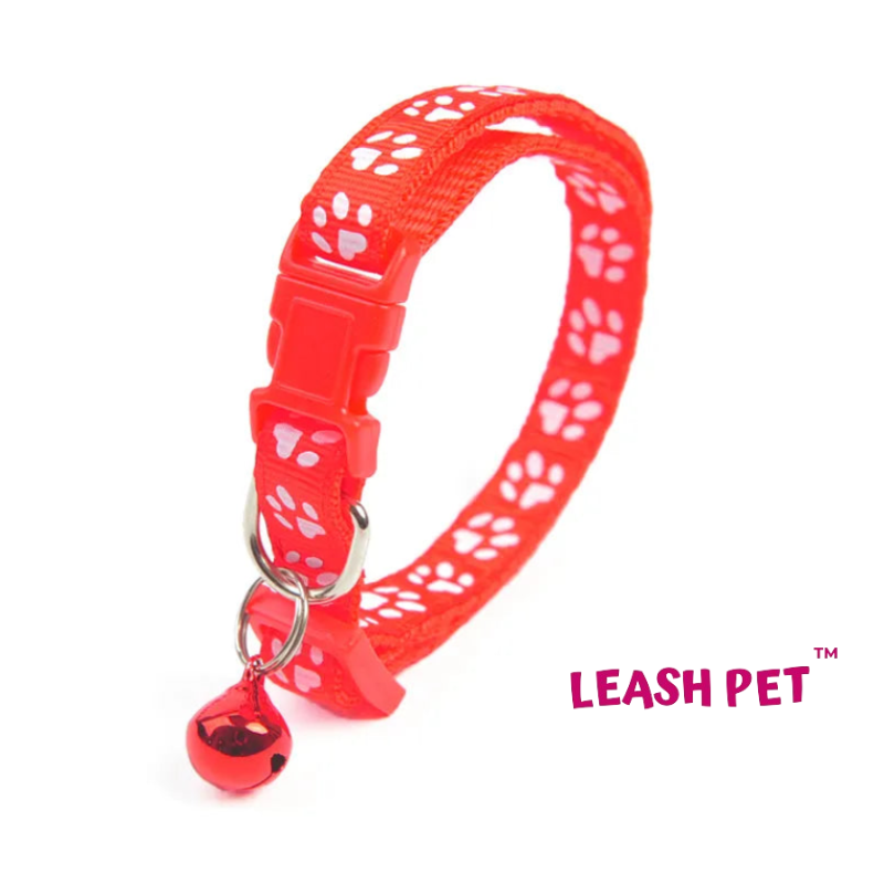 Coleira Leash Pet