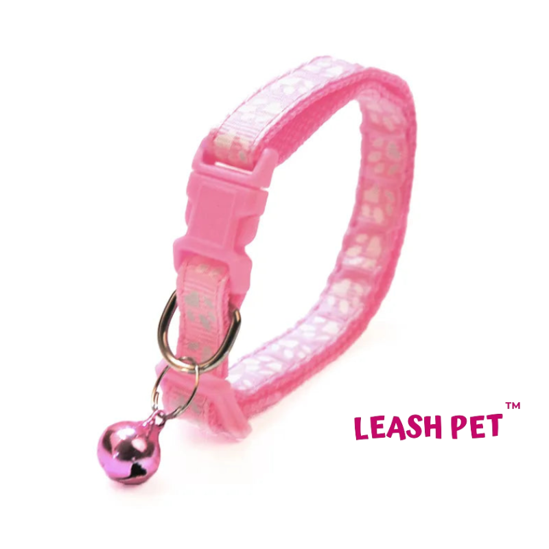 Coleira Leash Pet